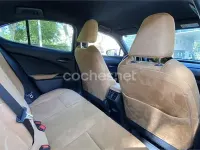 Usado Lexus UX Executive Line 184 CV (135 kW) 2024 Verde SUV