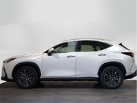 usado Lexus NX350h Business City 2wd