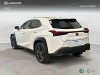 Usado Lexus UX 300h 199 CV (146 kW) 2026 Blanco SUV