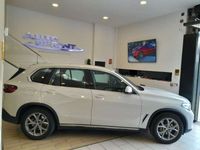 usado BMW X5 xDrive 30dA