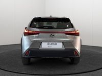 Usado Lexus UX 199 CV (146 kW) 2025 Gris / plata SUV