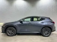 Usado Lexus NX350h Business Edition 242 CV (177 kW) 2022 Gris SUV
