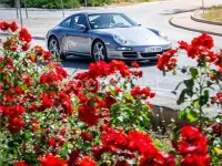 Usado Porsche 911 Carrera 325 CV (239 kW) 2005 Gris / plata Coupe