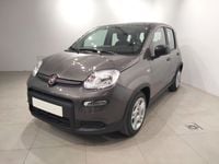Usado Fiat Panda 70 CV (51 kW) 2024 Gris Utilitario