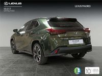 Usado Lexus UX 2024 SUV