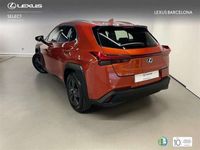 usado Lexus UX 250h Business 2WD