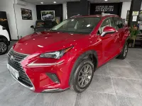 Usado Lexus NX300h Business Edition 197 CV (144 kW) 2019 Rojo SUV