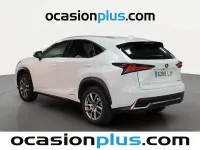 Usado Lexus NX300h Executive Line 197 CV (144 kW) 2020 Blanco SUV