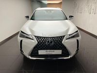 Usado Lexus UX 199 CV (146 kW) 2025 Blanco SUV