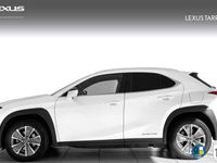 usado Lexus UX 300e Executive