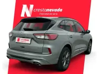 Usado Ford Kuga ST-Line 190 CV (139 kW) 2022 Gris / plata SUV
