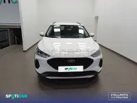 Usado Ford Focus Active 155 CV (114 kW) 2022 Blanco Berlina