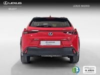Usado Lexus UX Business Edition 183 CV (134 kW) 2022 Rojo SUV
