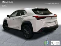 usado Lexus UX 250h Business 2WD