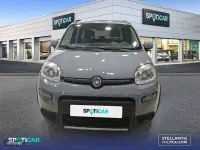 Usado Fiat Panda City Life 70 CV (51 kW) 2023 Gris Utilitario