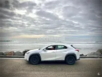 Usado Lexus UX Executive Line 184 CV (135 kW) 2019 Blanco SUV