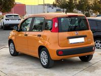 usado Fiat Panda 1.0 Gse Hybrid