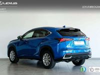 usado Lexus NX300h BUSINESS NAVIGATION