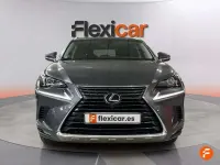 Usado Lexus NX300h Business Edition 197 CV (144 kW) 2019 Gris SUV