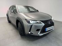 usado Lexus UX 250h Business 2WD