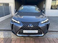 usado Lexus UX 300e Luxury