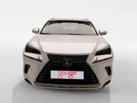 Usado Lexus NX300h Business Edition 197 CV (144 kW) 2019 SUV