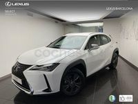 Usado Lexus UX Business Edition 184 CV (135 kW) 2020 Blanco SUV