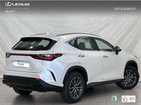 Usado Lexus NX350h 242 CV (177 kW) 2024 Blanco SUV