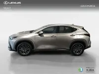 Nuevo Lexus NX350h 197 CV (144 kW) 2026 Otro