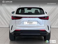 Usado Lexus NX350h 242 CV (177 kW) 2024 Blanco SUV