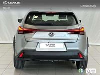 Usado Lexus UX 250h Business Edition 184 CV (135 kW) 2022 Gris SUV