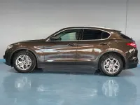 Usado Alfa Romeo Stelvio Executive 160 CV (117 kW) 2019 Marrón SUV