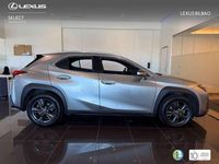 Usado Lexus UX 250h Business Edition 184 CV (135 kW) 2022 Plateado SUV