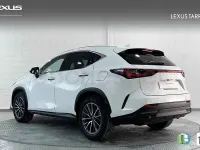 Usado Lexus NX450h+ 292 CV (214 kW) 2026 Blanco SUV