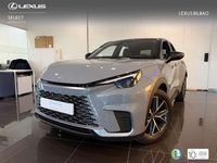 Usado Lexus LBX 136 CV (100 kW) 2025 Gris SUV