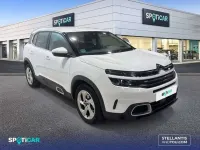 Usado Citroën C5 Aircross Live 131 CV (96 kW) 2022 Blanco SUV