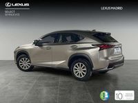 usado Lexus NX300 300h Business 2WD