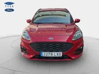 Usado Ford Kuga ST-Line X 190 CV (139 kW) 2022 Granate SUV