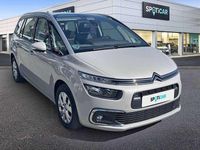 Usado Citroën C4 Feel 131 CV (96 kW) 2020 Beige Monovolumen