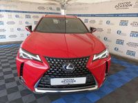 usado Lexus UX 250h Business Navigation 2WD