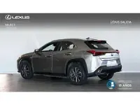 Usado Lexus UX 300e Business Edition 150 kW (204 CV) 2022 Gris SUV