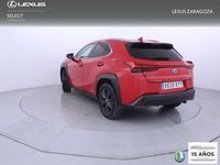 Usado Lexus UX 250h Business Edition 184 CV (135 kW) 2019 Rojo SUV