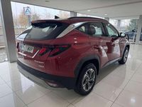 Usado Hyundai Tucson 215 CV (158 kW) 2024 Burdeos SUV