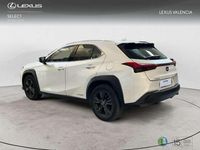 Usado Lexus UX Business Edition 2022 Blanco SUV