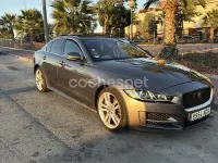 Usado Jaguar XE R-Sport 200 CV (147 kW) 2018 Gris / plata Berlina
