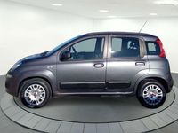 Usado Fiat Panda Lounge 69 CV (50 kW) 2019 Gris Utilitario
