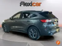 Usado Ford Kuga ST-Line 120 CV (88 kW) 2024 Gris SUV