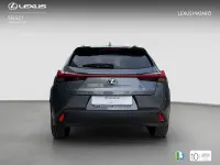 Usado Lexus UX 184 CV (135 kW) 2022 Gris SUV