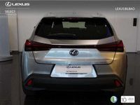 usado Lexus UX 250h Business City 2WD