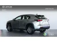 Usado Lexus NX300h 197 CV (144 kW) 2016 Otros SUV